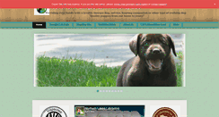 Desktop Screenshot of northernlakeslabradors.com