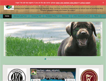 Tablet Screenshot of northernlakeslabradors.com